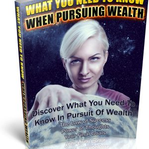Pursuing Wealth eBook